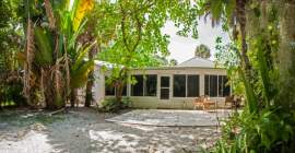 house in jungle